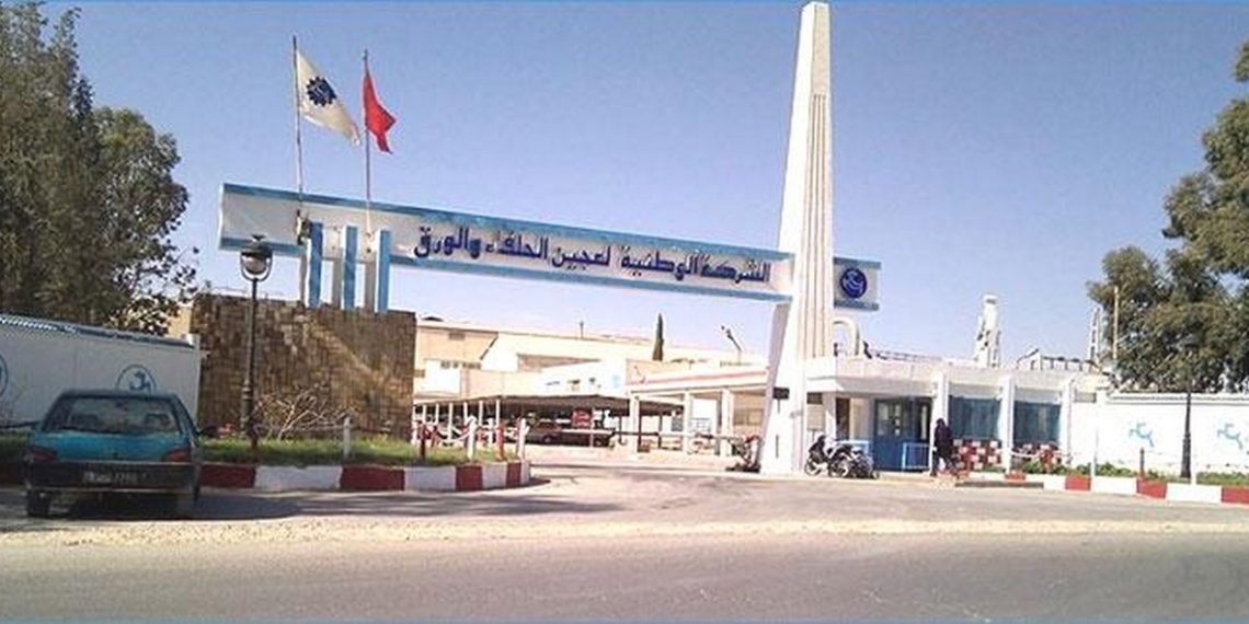 معمل الحلفاء: شحن 500 طن من ورق الكتاب المدرسي