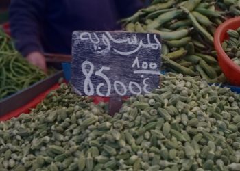 وزارة التجارة: تراجع ملحوظ في أسعار الخضر ولحوم الدواجن… واحترام شبه كلي لهوامش الربح