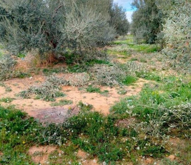 الدولة تسترجع 3 عقــارات دولـــية فلاحــية بولاية منوبة