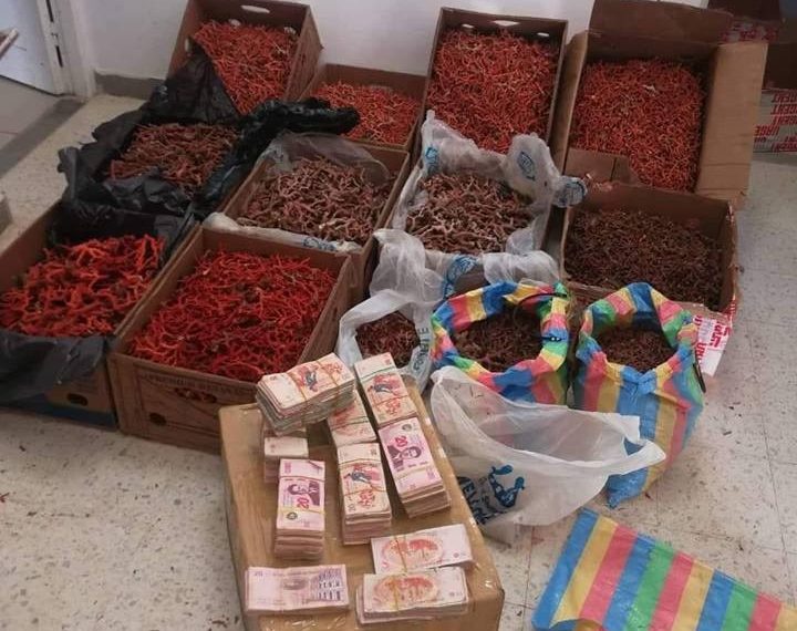 مصالح الديوانة بمنزل بورقيبة تحجز 7كلغ من المرجان المهرب