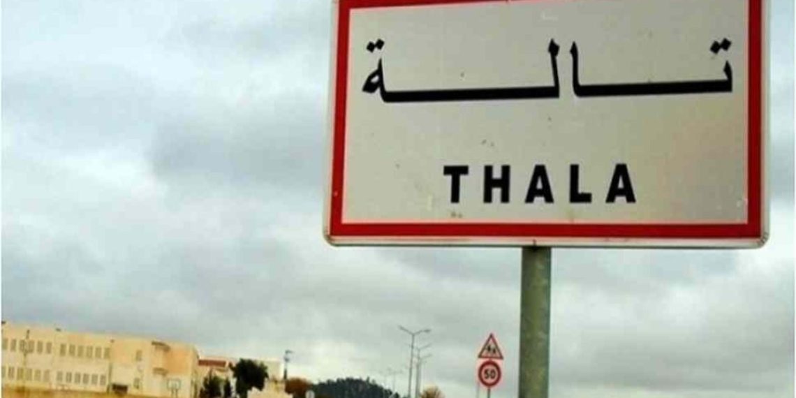 قريبا: التفويت في مصنع الجير بتالة