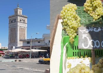 جولة في سوق باب الفلة… تراجع طفيف في أسعار الخضر…والغلال “لمن استطاع إليه سبيلا”