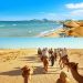 تونس تستعيدُ بريقها و تحتلُ المرتبة 12 ضمن أفضل 50 وجهة سياحية لسنة 2024