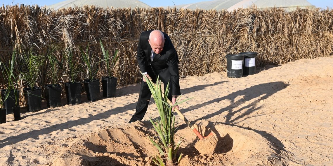 سعيد: “شجرة الحقِ ستكون باسقة في فلسطين وفي تونس..أما عملاء الصهيونية ستهبّ عليهم رِيحٍ صَرْصَرٍ عَاتِيَةٍ”