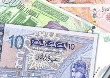 الدينار التونسي فقد 50 % من قيمته بسبب شروط المؤسسات المالية الدولية