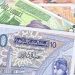 الدينار التونسي فقد 50 % من قيمته بسبب شروط المؤسسات المالية الدولية