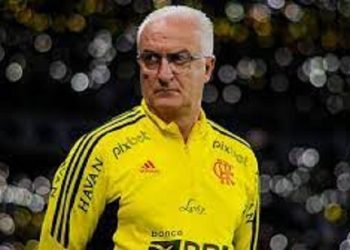 تعيين مدرب جديد لمنتخب البرازيل