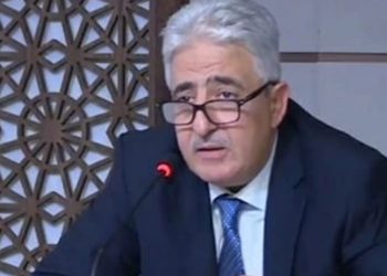 وزير الدفاع :”جيش الطيران التونسي قادر على تدريب جيوش الطيران الإفريقية “