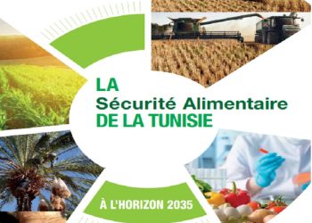 معهد الدراسات الإستراتيجية: مقترحات لتحقيق السيادة الغذائية للبلاد