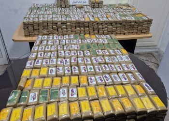 ميناء حلق الوادي: إحباط  محاولة تهريب 176 كلع من “الزطلة”