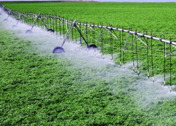 بن عروس: مندوبية التنمية الفلاحية تدعو الى اعتماد نظام الري التكميلي