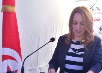 وزيرة الاقتصاد: مستعدون لدعم قطاع صناعة مكونات الطائرات في تونس