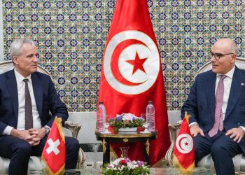 تسريع إجراءات استعادة الأموال المنهوبة: أبرز محاور لقاء وزير الخارجية بالمستشار الفيدرالي السّويسري
