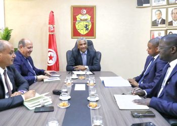 وزير الشباب والرياضة يستقبل وفدا عن “الفيفا” والكنفدرالية الإفريقية لكرة القدم