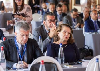 وزيرة الصناعة: تونس اعتمدت استراتيجية طاقية تستجيب لمقتضيات المرحلة
