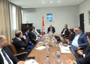 وزير السياحة يؤكد لمستثمرين كويتيين الاستعداد لتطوير استثماراتهم في تونس