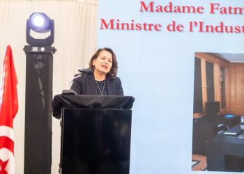 وزيرة الصناعة: القطاع الطاقي ساهم في جلب 50 بالمائة من الاستثمارات الأجنبية