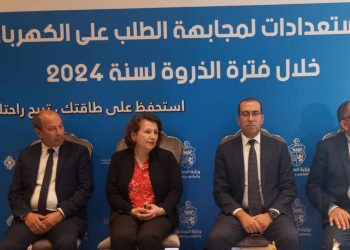 وزيرة الصناعة: “نسعى لضمان رفاهية المواطنين خلال هذه الصائفة… وتأمين صيف بأقل انقطاعات كهربائية”