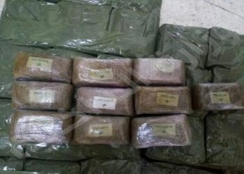 ميناء رادس: تفكيك شبكة دوليّة لتهريب المخدرات