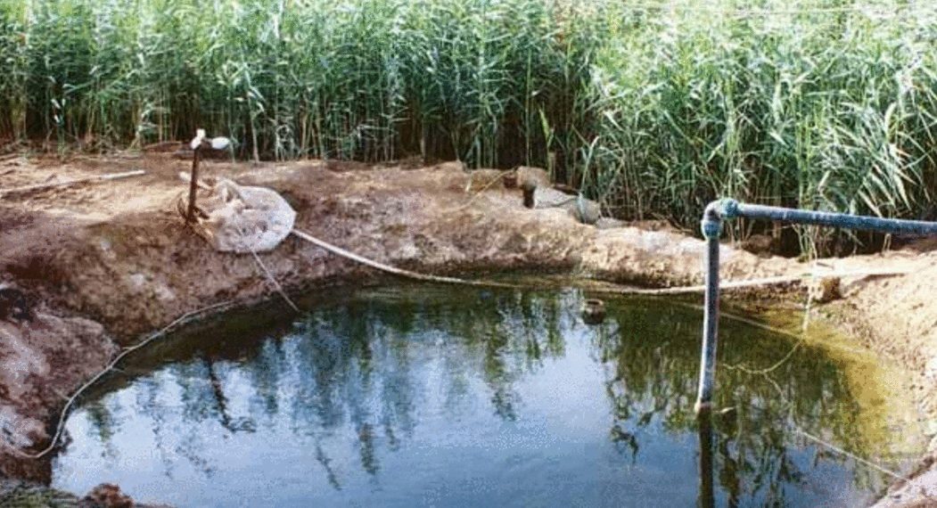 مدير عام مركز بحوث وتكنولوجيات المياه: تمّ استغلال 3 مليار متر مكعب من المياه الجوفية في 2023