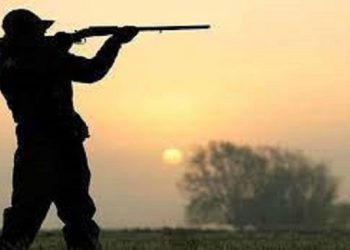 تعليق نشاط الصيد البري بولايتي أريانة وبنزرت يوم 15 أكتوبر
