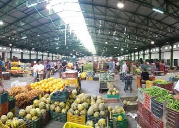 نحو رقمنة سوق الجملة للخضر والغلال بالمكنين