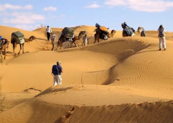 السياحة الصحراوية: كبرى شركات الرحلات الفرنسية تختار توزر لاحتضان مؤتمرها التجاري