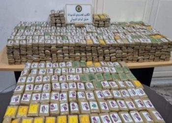 حلق الوادي: إحباط تهريب أكثر من 237 كلغ قنب هندي منذ بداية 2024