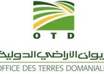 إعفاء الرئيس المدير العام لديوان الأراضي الدّولية من مهامه