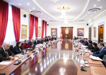 إجراءات حكومية جديدة لتعزيز منظومة الشركات الأهليّة