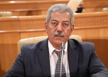 نائب بالبرلمان: ” يجب وضع قانون ميزانية جديد يتماشى مع دستور البلاد”