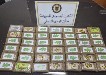 ميناء حلق الوادي: حجز 42 صفيحة ‘زطلة’ بحوزة مسافر