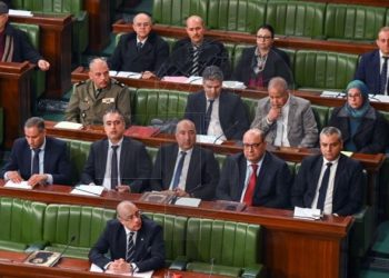 وزارة الدفاع: إبطال مفعول 491 لغما حتى موفى أوت 2024