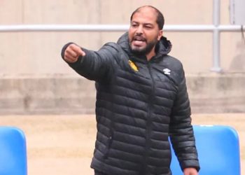 إطار فني تونسي لتدريب المنتخب: مستجدات الملف