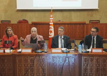 مسؤولة بوزارة الاقتصاد: تراجع ترتيب تونس دوليًا أثر سلبا على استقطاب الاستثمارات الخارجية