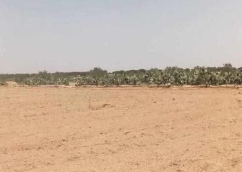 المهدية: استرجاع عقاريْن دوليّيْن بمساحة 6000 متر مربع