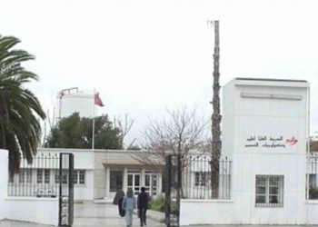 منوبة: وفاة طالب إثر سقوطه من بناية عالية أثناء قيامه بتعليق علم فلسطين