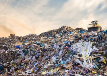 دراسة بعنوان ”البرباشة” توصي بضرورة إرساء إطار قانوني