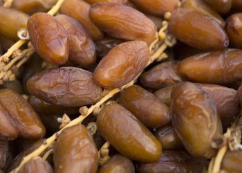 تراجع عائدات صادرات التمور بنسبة 4.4%