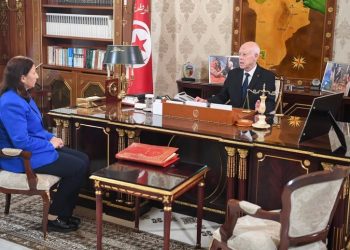 رئيس الجمهورية: ” العمل جارٍ على إعادة هيكلة عديد المؤسسات”