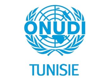 منظمة الأمم المتحدة للتنمية الصناعية تنفّذ 15 مشروعا في تونس