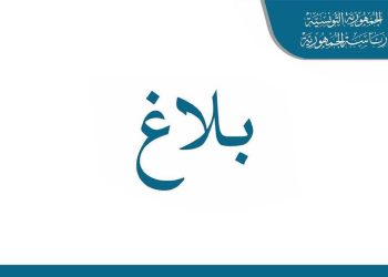 عفو رئاسي خاص على عدد من المحكوم عليهم بمناسبة عيد الجمهورية