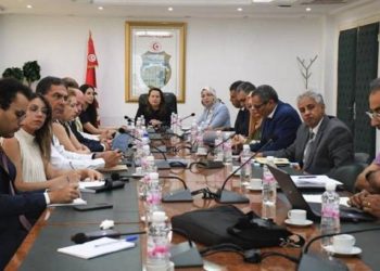وزيرة الصناعة تدعو إلى مزيد التنسيق لتنفيذ مشروع المدينة الذكية للسيارات