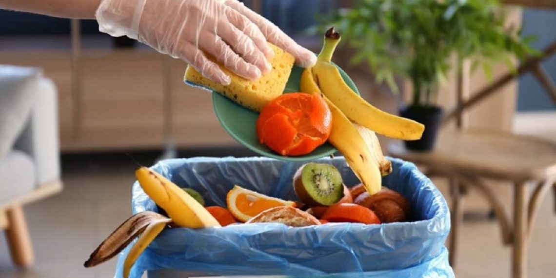 لمكافحة إهدار الطعام: منظمة “الفاو” تدعم بلدتي تونس وحلق الوادي
