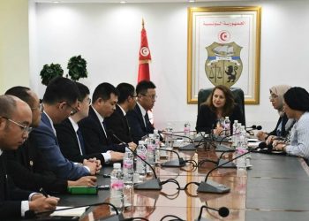 شركة صينية دولية تعبر عن رغبتها الاستثمار في قطاع المناجم في تونس