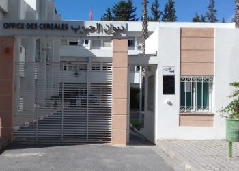 تأجيل إضراب أعوان ديوان الحبوب