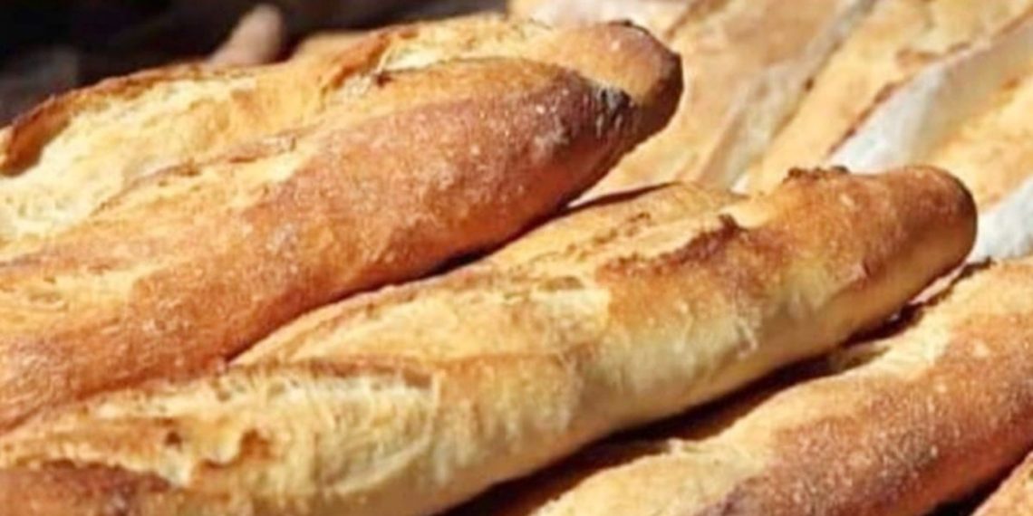 مستجدات مشروع خبز الألياف