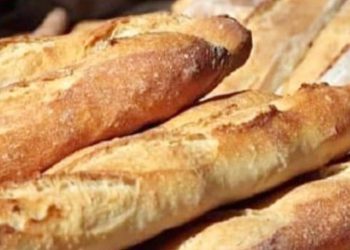 مستجدات مشروع خبز الألياف