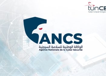 وكالة السلامة السيبرنية تدعو الى الانتباه عند استعمال محركات البحث بالذكاء الاصطناعي