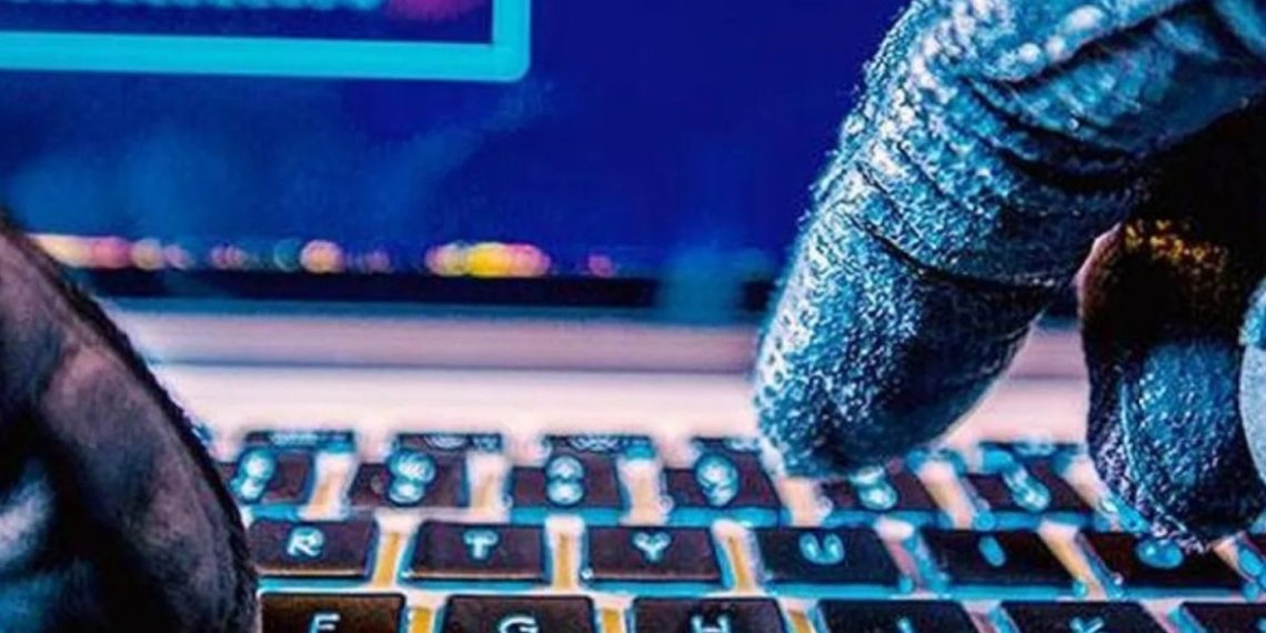 وكالة السلامة السيبرنية تحذر من تزايد محاولات القرصنة